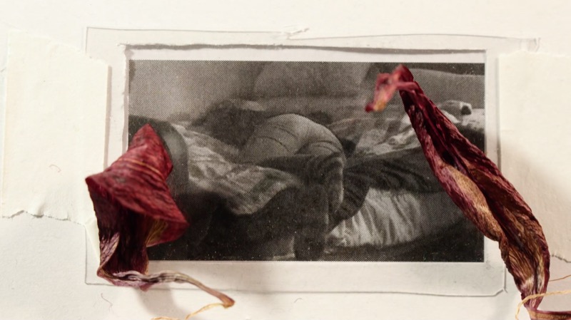 Still from A Fixed Answer