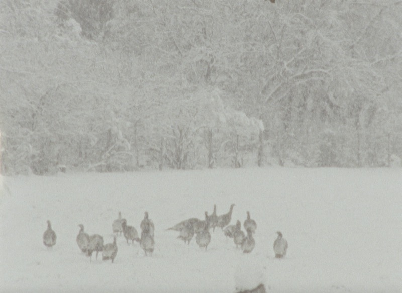 Still from If the edges start to hurt