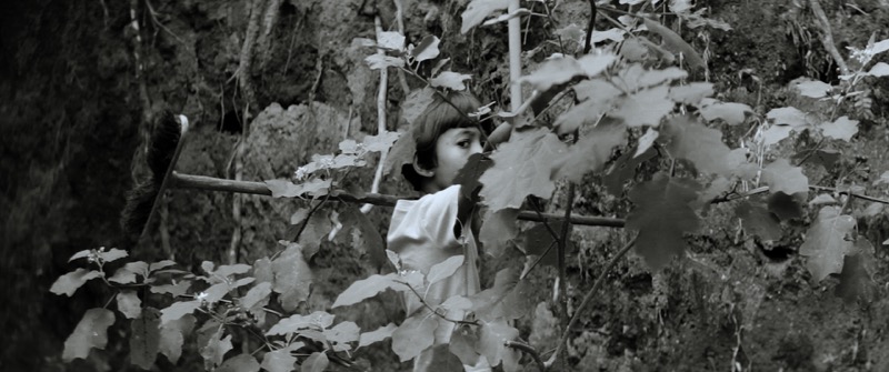 Still from Eyes of Summer