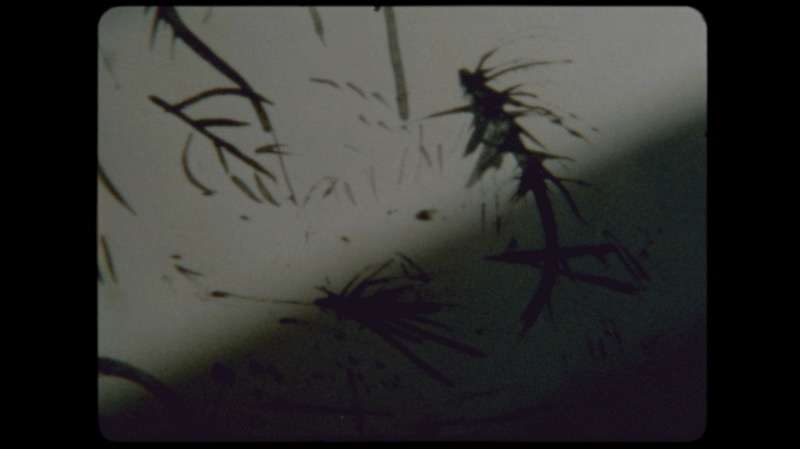 Still from Lines to color within