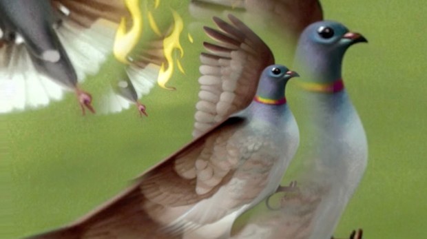 Illustration of passenger pigeons with vibrant colors and dynamic movements, depicting the concept of extinction and evolution.